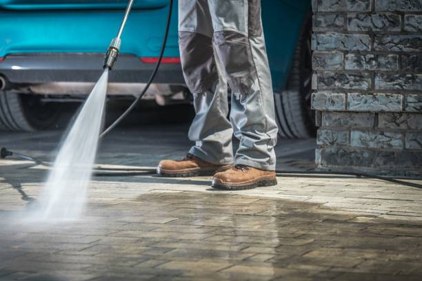 Best Animal Enclosure Cleaning  in Eagle Lake, MN