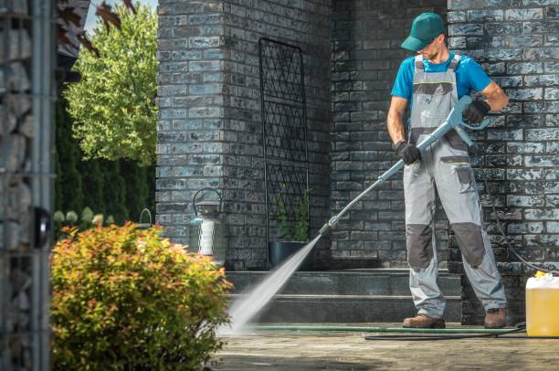 Best Solar Panel Cleaning  in Eagle Lake, MN